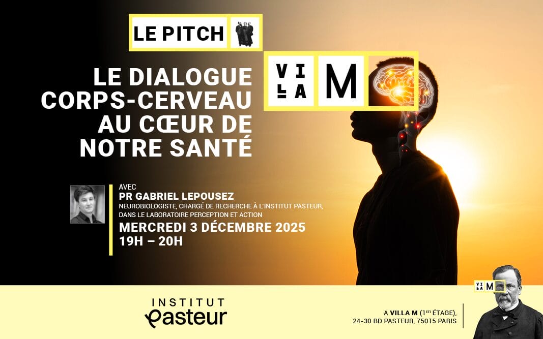 Pitch Villa M 03-12 -avec-LOGO-IP-ok