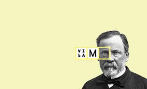 miniatures logo villa m jaune