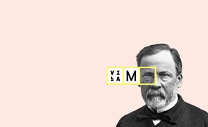 miniatures logo villa m rose